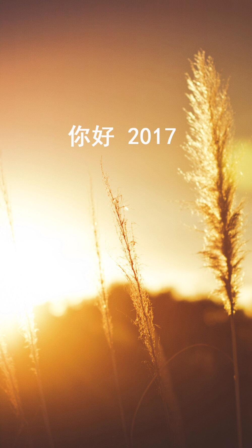 精选世界瞬间美图，2017最新金典图片大全