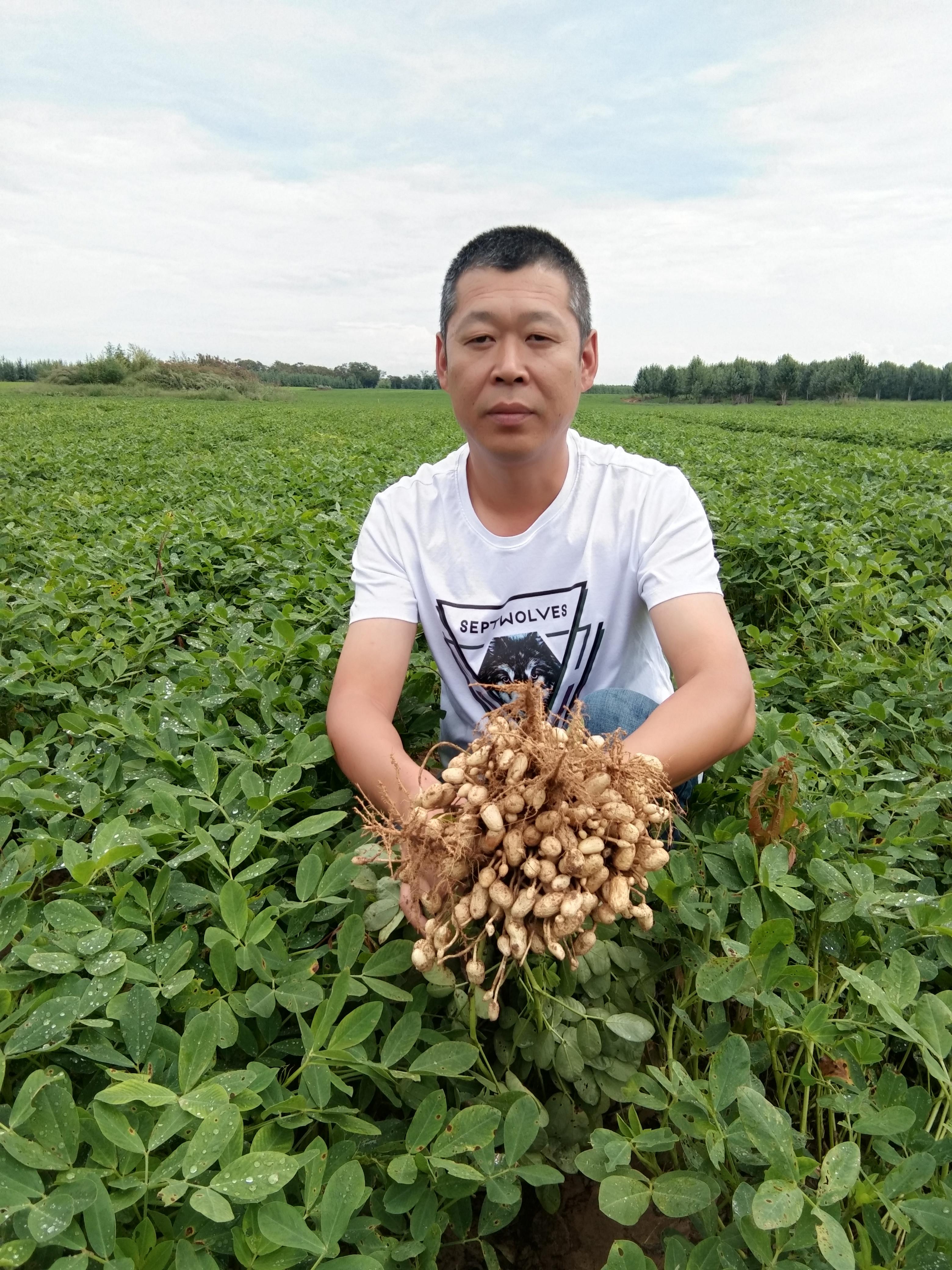 花生米最新价格动态及市场深远影响概览