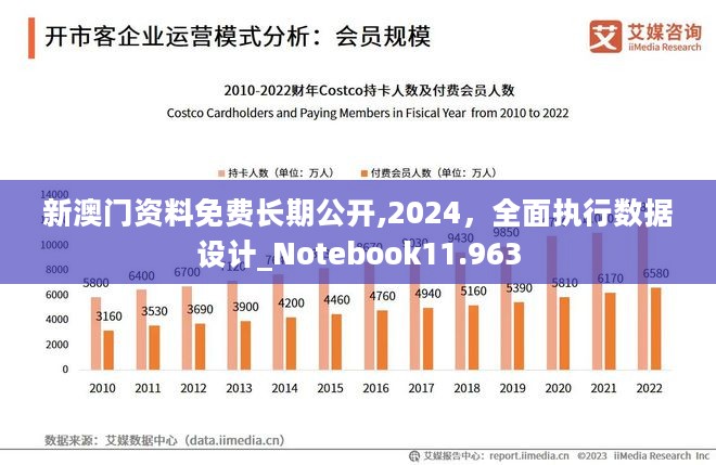 2024年澳门正版,全面数据解析执行_专业款10.802