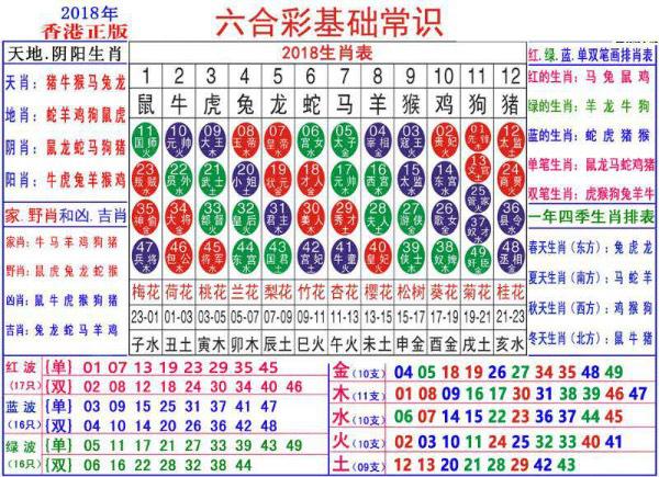 澳门正版资料大全资料生肖卡,经典案例解答落实_变动集17.07