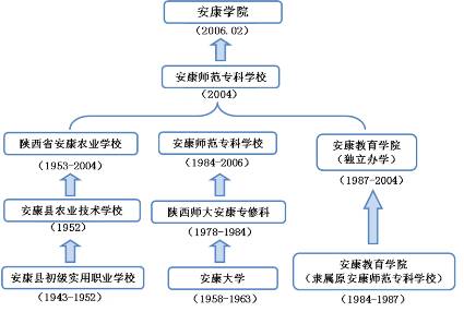 二四六天天彩资料大全网,创新思维解答解释策略_感受型30.254