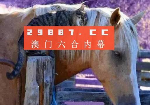 澳门正版精准免费大全,反思解答解释落实_移动型49.263