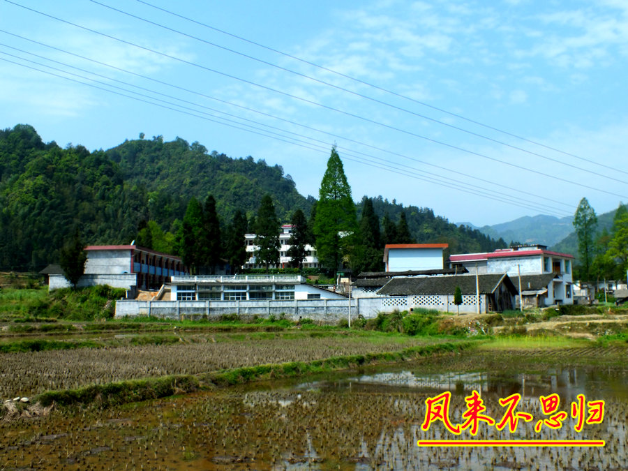 湖北来凤大河最新图片，自然与人文的和谐画卷