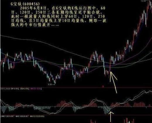 最新炒股技巧揭秘，掌握市场脉搏，最大化投资回报策略