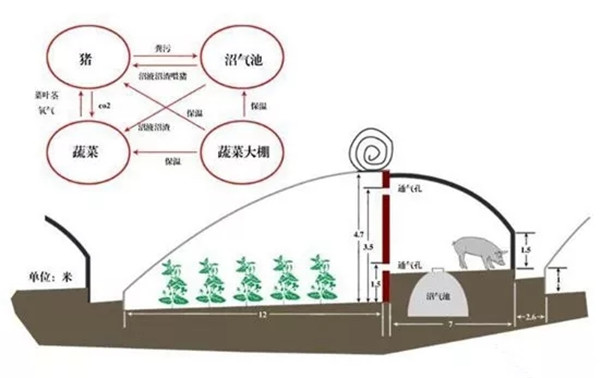 重塑农业生产与生态可持续性，最新农业模式探索