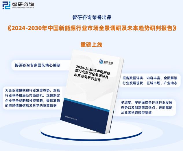 2024新奥精选免费资料,全面实施数据分析_领航款24.912