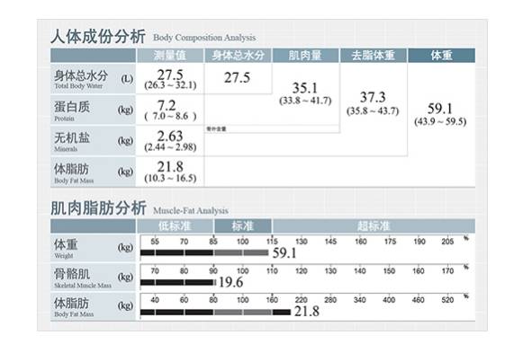 新奥天天精准资料大全,快速落实方案响应_Essential35.75