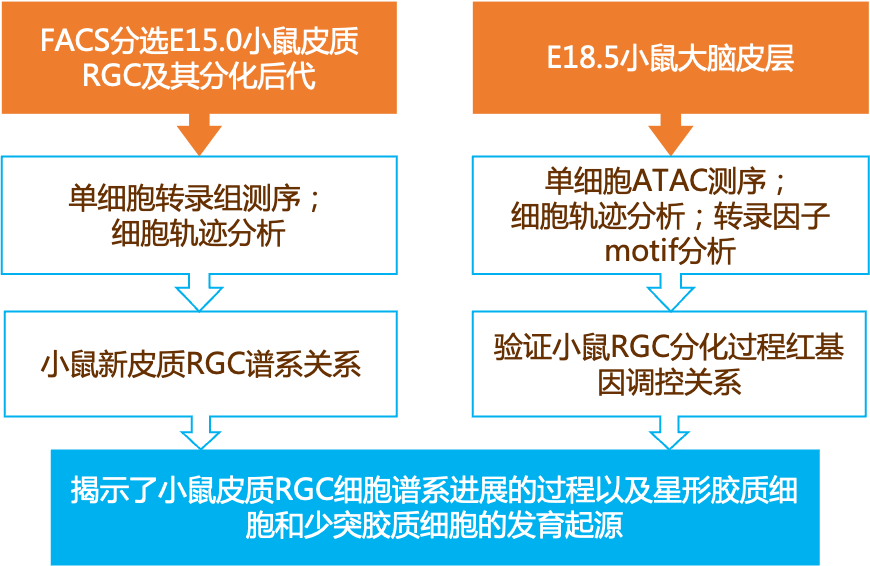 2024新奥精准资料免费大全078期,广泛的解释落实方法分析_iPhone56.295