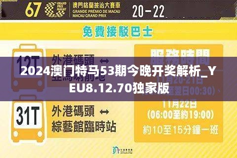 2024年澳门今晚开特马,实地研究数据应用_VE版71.296