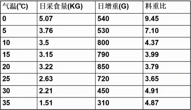 2024新澳最新开奖结果查询,效率资料解释定义_Plus90.743