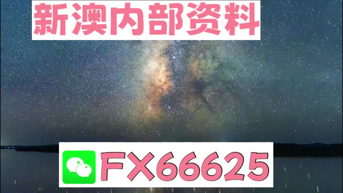 新澳天天彩免费资料大全查询,高效解析说明_tool99.368