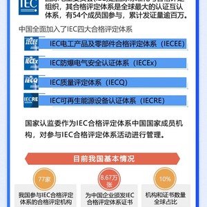 2024新奥正版资料最精准免费大全,安全策略评估方案_iPad14.762