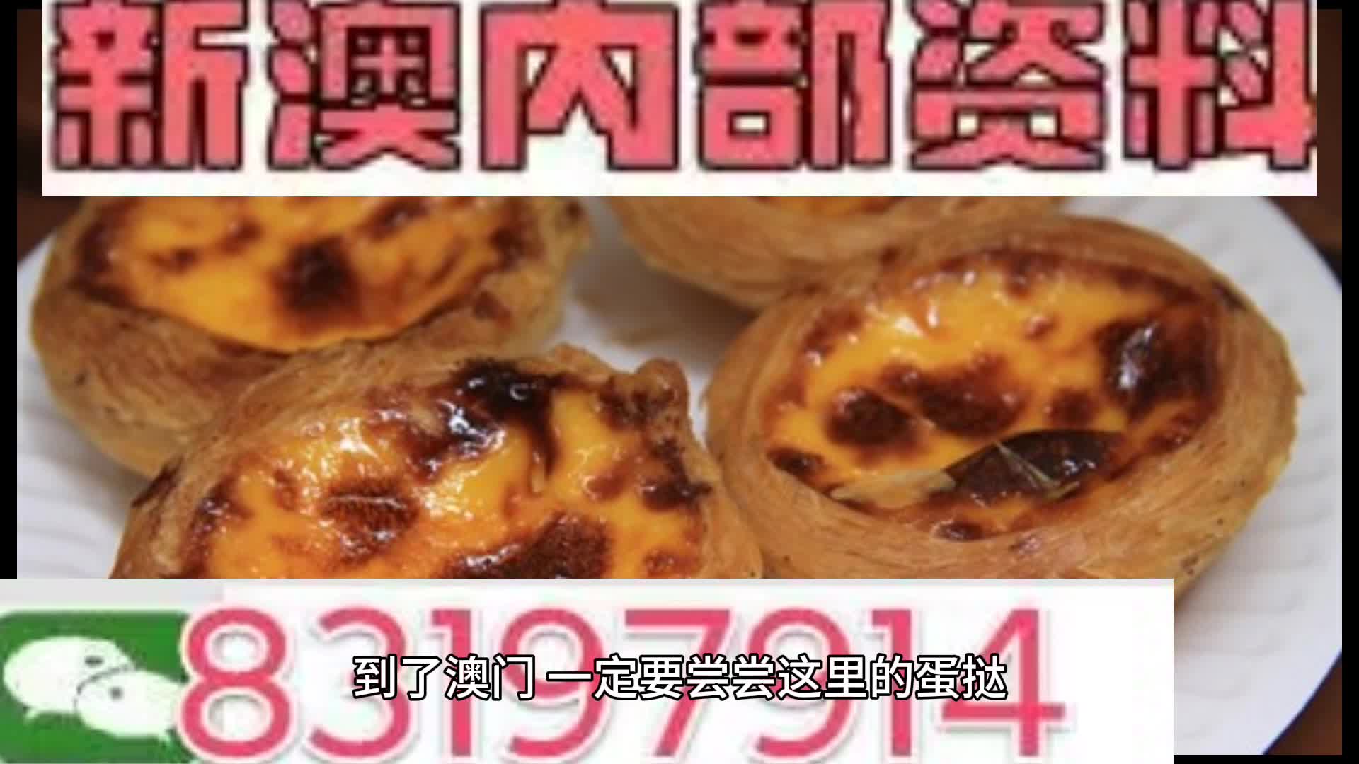 新澳门资料大全正版资料_奥利奥,专业解析说明_pro29.542