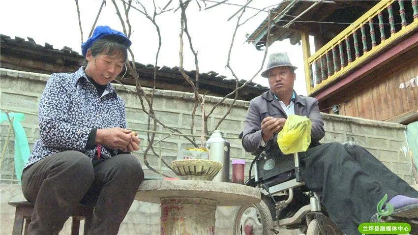 阳山车祸事件深度剖析