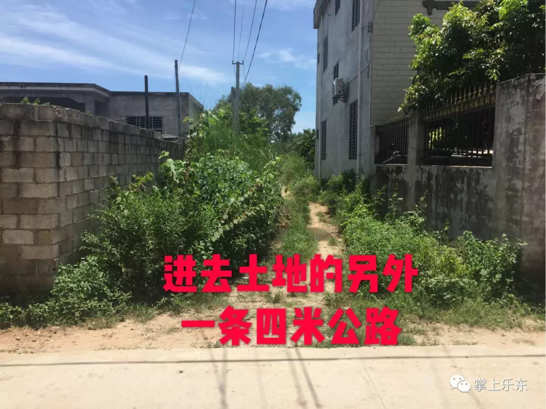 右江论坛房屋出租最新动态概览