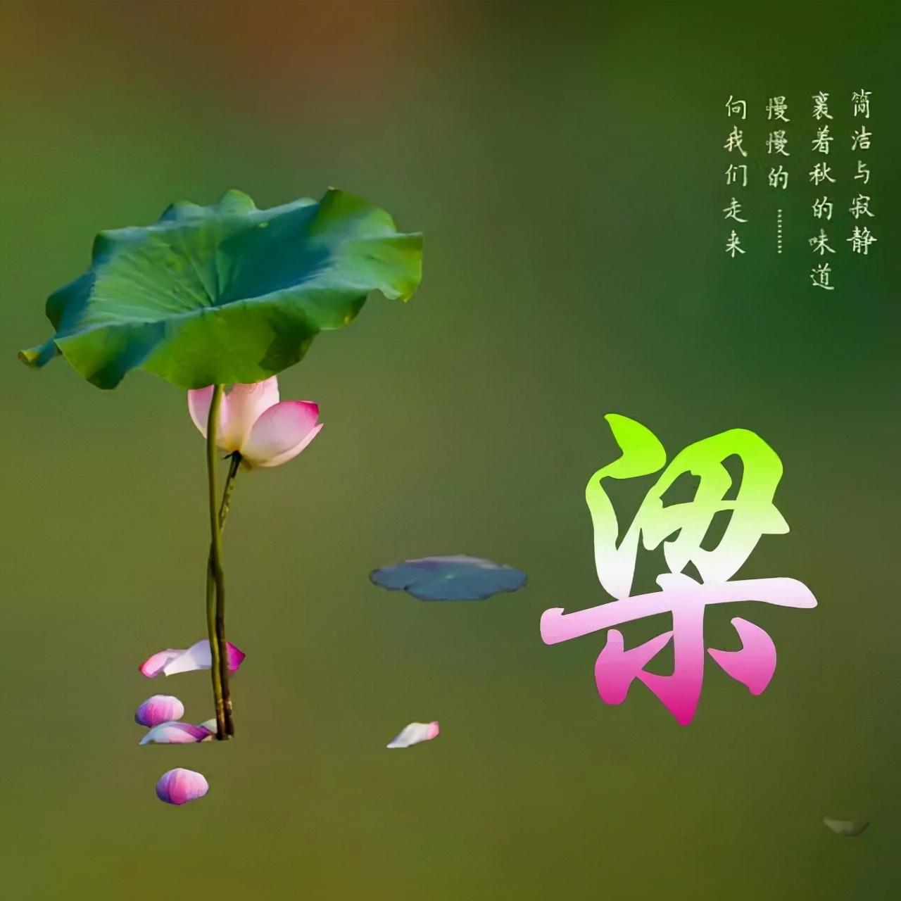 微信昵称大揭秘，探索最新风尚潮流 2018年精选推荐