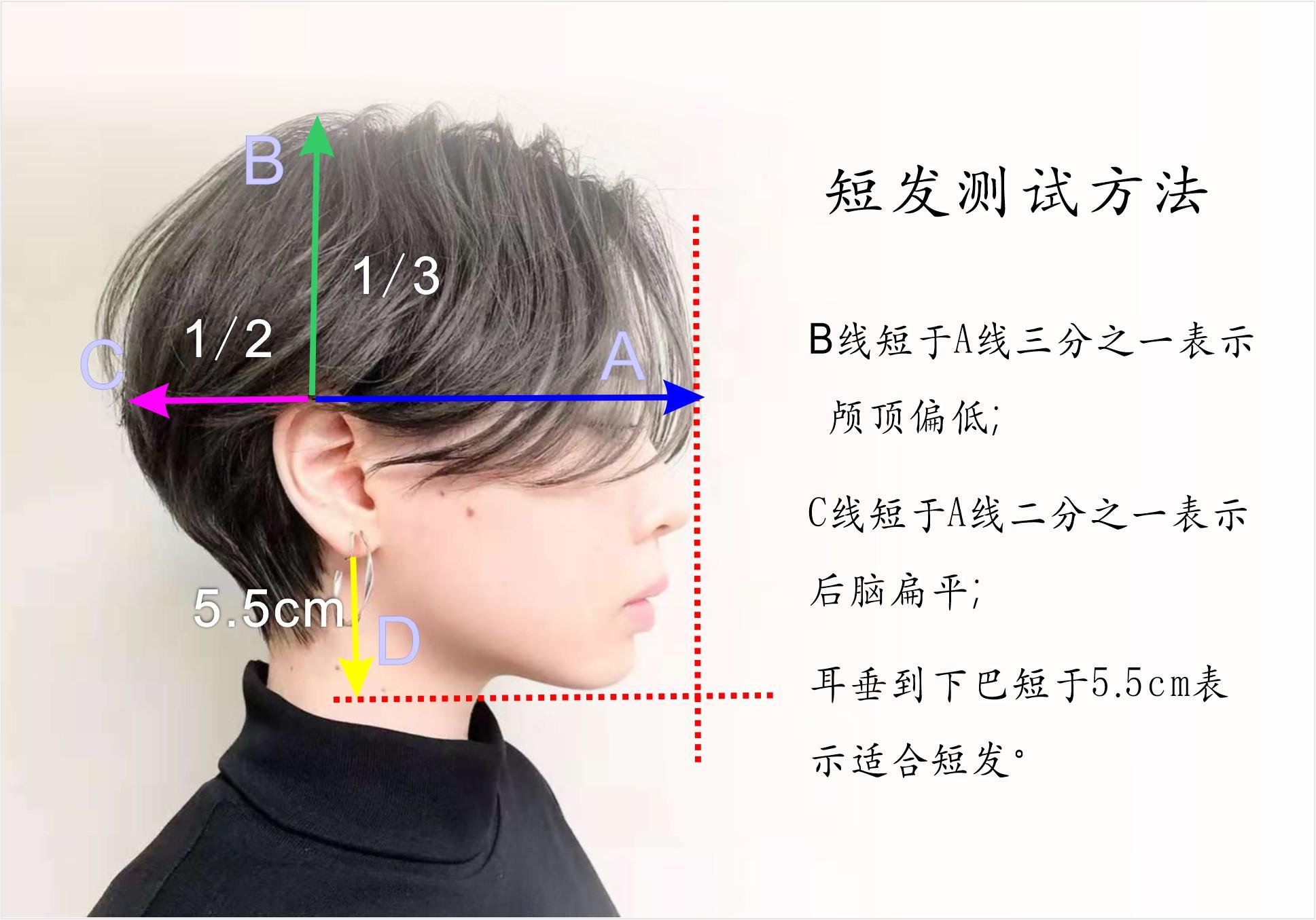 脸型在线测试，开启个人形象探索之旅