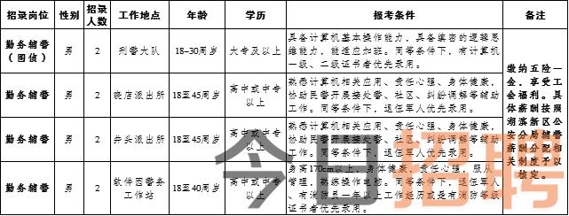 饶阳县审计局招聘启事概览