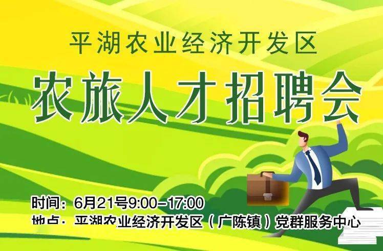 平湖招聘会最新招聘动态深度解读与解析报告