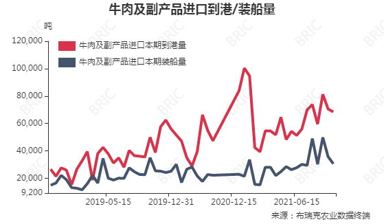 全球牛肉进口最新动态及趋势影响分析