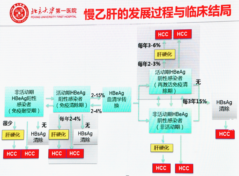 乙肝研究突破与未来展望，最新消息及发展趋势