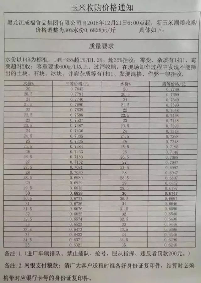 衡水玉米价格最新动态分析