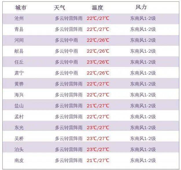 2004新澳门天天开好彩,快速计划执行解答_终极款24.559