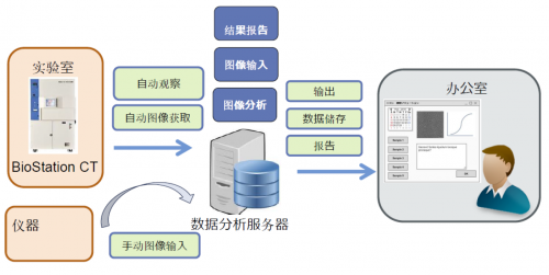 新奥六开彩资料2024,先进策略解答解释执行_预览版90.912