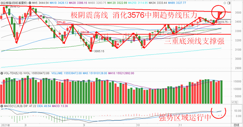 2024今晚香港开特马,市场趋势方案实施_投入版11.313