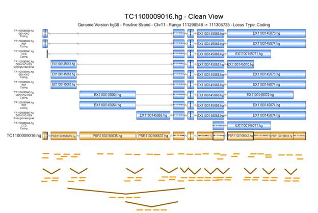 新奥精准资料免费提供510期,重点探讨解答解释路径_操作型60.2