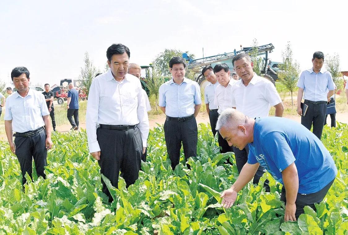 包头固阳最新动态全面解析