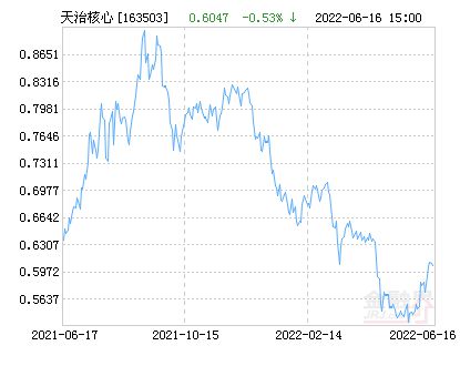 天治核成长净值最新动态，成长路径深度解析与未来展望