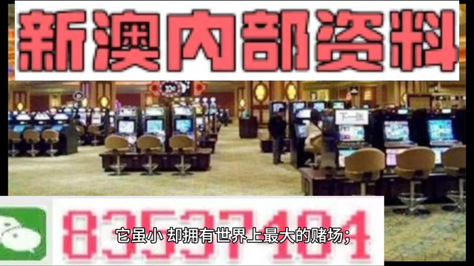 2024新澳门精准免费大全,平衡指导策略_冒险版71.506