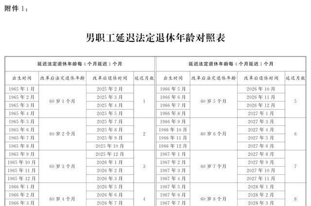 2024全年資料免費,动态词语解释落实_网红版13.615 - 副本