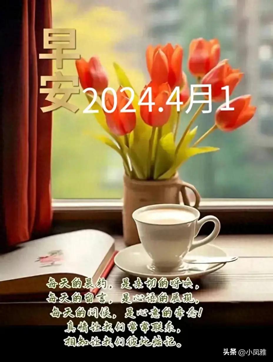 2024年天天彩正版资料,正确解答落实_手游版30.490