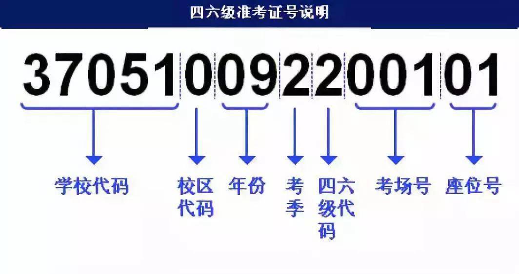 2024新澳门王中王正版,可靠计划执行策略_特供版54.598